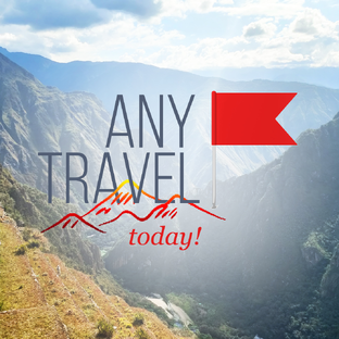 Статистика Дзен Anytravel.today