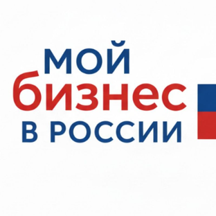 Статистика Дзен Мой бизнес в России