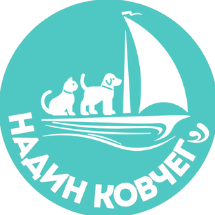 Статистика Дзен «Надин Ковчег»