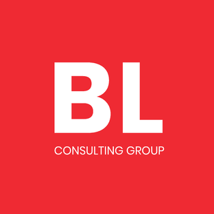 Статистика Дзен BLCONS GROUP