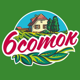 Статистика Дзен 6 Соток