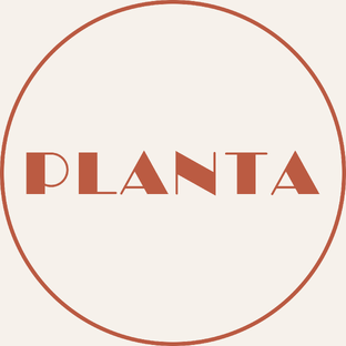 Статистика Дзен PLANTA