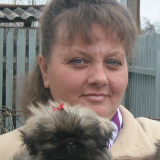 Статистика Дзен Домик Марио. Мифы, фэнтези, мистика