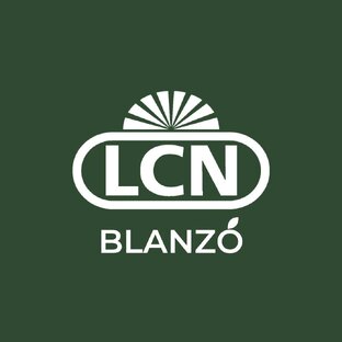 Статистика Дзен LCN_Blanzo 