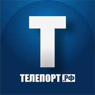 Статистика Дзен ТЕЛЕПОРТ.РФ