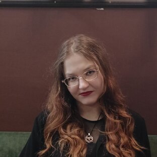 Статистика Дзен Anna Raven