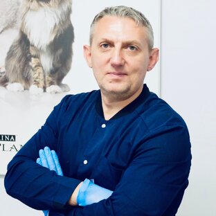 Статистика Дзен Ветеринарный врач орнитолог Владимир Чугуевский