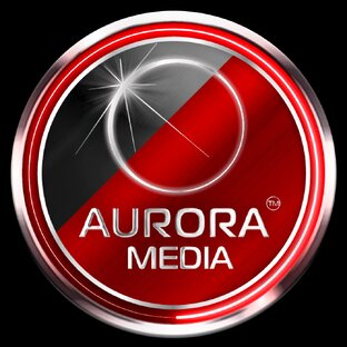 Статистика Дзен АВРОРА МЕДИА