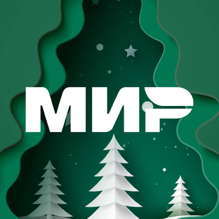 Статистика Дзен Платежная система «Мир»