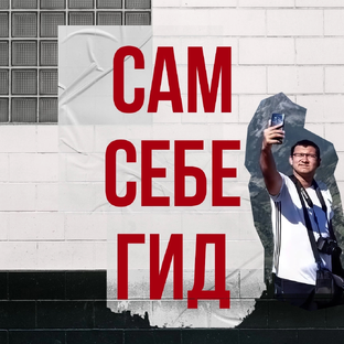Статистика Дзен Сам себе гид