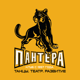 Статистика Дзен #франшиза Пантера Танцы.Театр. Дети.Взрослые
