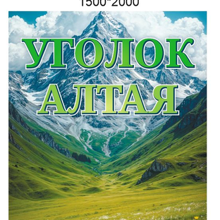 Статистика Дзен "Уголок Алтая"