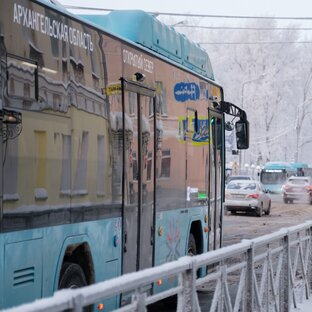 Статистика Дзен Рико в Архангельске 