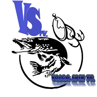 Статистика Дзен Volga Spin TV