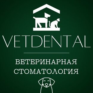 Статистика Дзен Ветдентал-ветеринарная стоматология , отоларингология и челюстно-лицевая хирургия