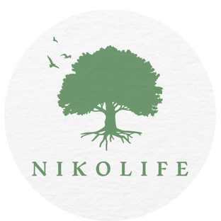 Статистика Дзен Nikolife - здоровье для тебя и твоей семьи | AI-помощник по здоровью