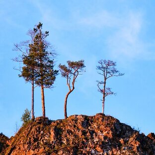 Статистика Дзен Реки, скалы и леса