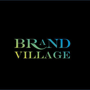 Статистика Дзен BRAND VILLAGE