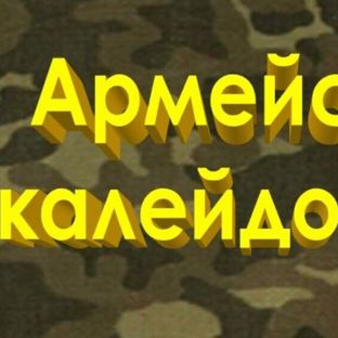 Статистика Дзен Армейский Калейдоскоп