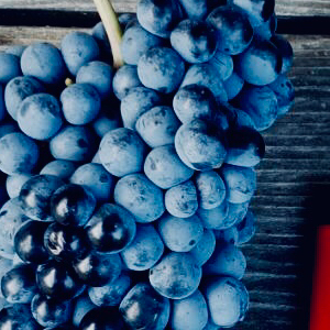Статистика Дзен Wine_abkhazia
