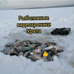 Статистика Дзен Рыболовные видеохроники Урала