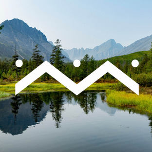 Статистика Дзен VisitKolyma