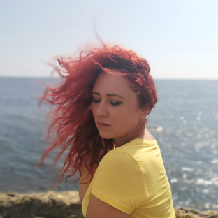 Статистика Дзен Ginger