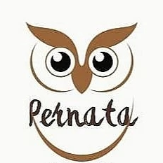 Статистика Дзен Первушина Наталья Сибирячка в Калининграде