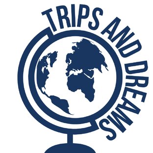 Статистика Дзен Trips&Dreams