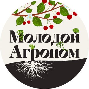 Статистика Дзен Молодой Агроном