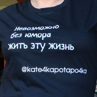 Статистика Дзен Катечка Потапочка