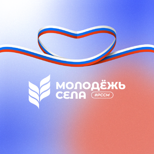 Статистика Дзен Молодёжь села