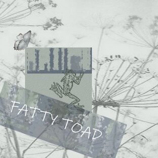 fatty toad - Упитанные Фантазеры+ Ю Сын Хо - 유승호  блог