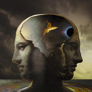 Дзен Философия Жизни статистика