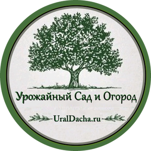 Статистика Дзен Урожайный сад и огород