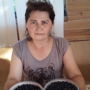 Статистика Дзен Трудно первые сто лет