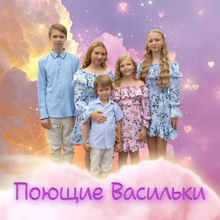Статистика Дзен Поющие Васильки
