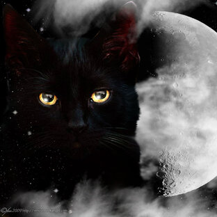 Дзен МИСТИЧЕСКИЙ МИР  статистика