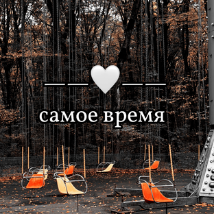 Статистика Дзен Самое время 