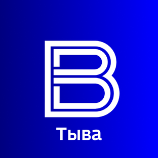 Статистика Дзен ГТРК «Тыва»