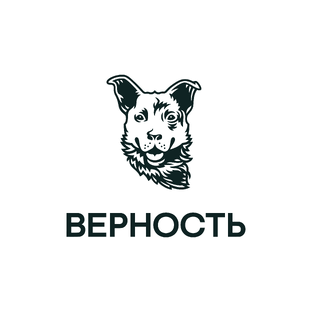 Статистика Дзен АНБО «Верность» 