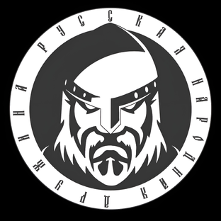 Статистика Дзен Русская Народная Дружина