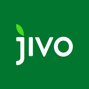 Статистика Дзен Jivo
