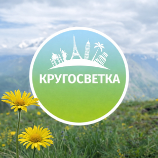 Статистика Дзен Карелочка