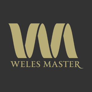 Статистика Дзен WELES MASTER: Забота о животных и природе!