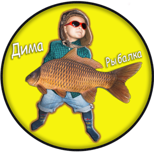 Статистика Дзен Дима рыбалка