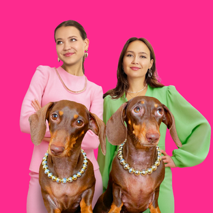 Статистика Дзен CHAPITOSIKI