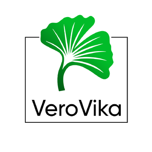 Статистика Дзен VeroVika