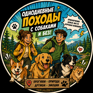 Статистика Дзен Однодневные походы с собаками и без СПб и ЛО / Треккинг и хайкинг