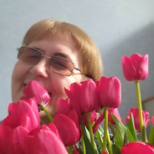 Статистика Дзен Земляничное  ассорти и  многое  другое 